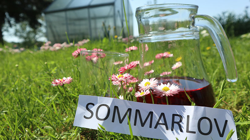 En blomsteräng, en kanna vatten och en lapp med ordet sommar