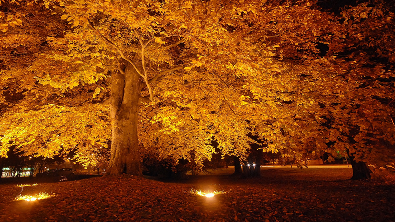 Centrumparken, Haninge