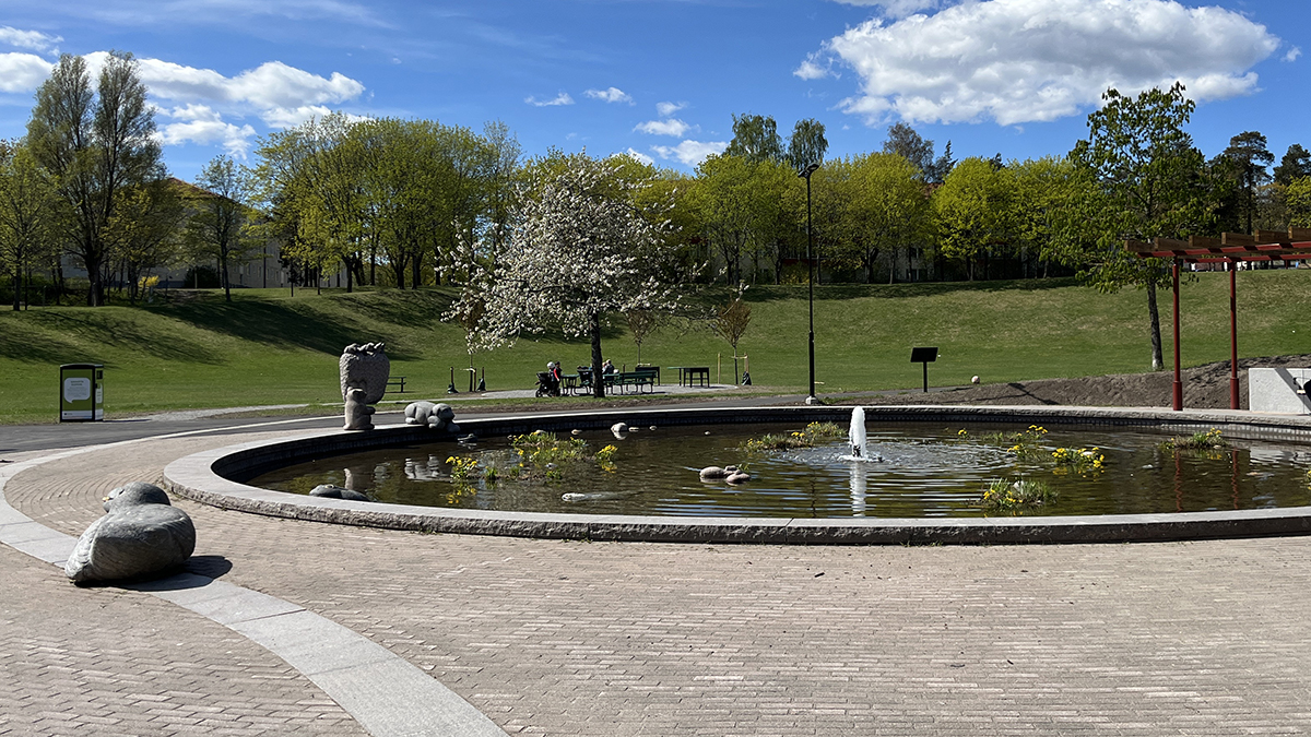 Prydnadsdamm med gula blommor