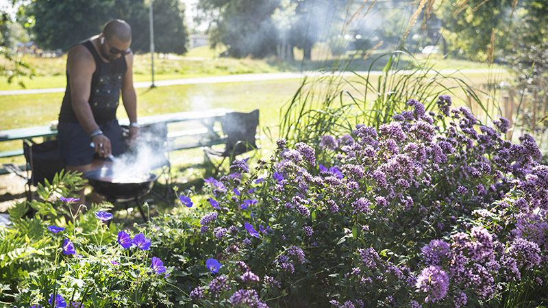 Man står och grillar i köksträdgården i Höglundaparken i Jordbro