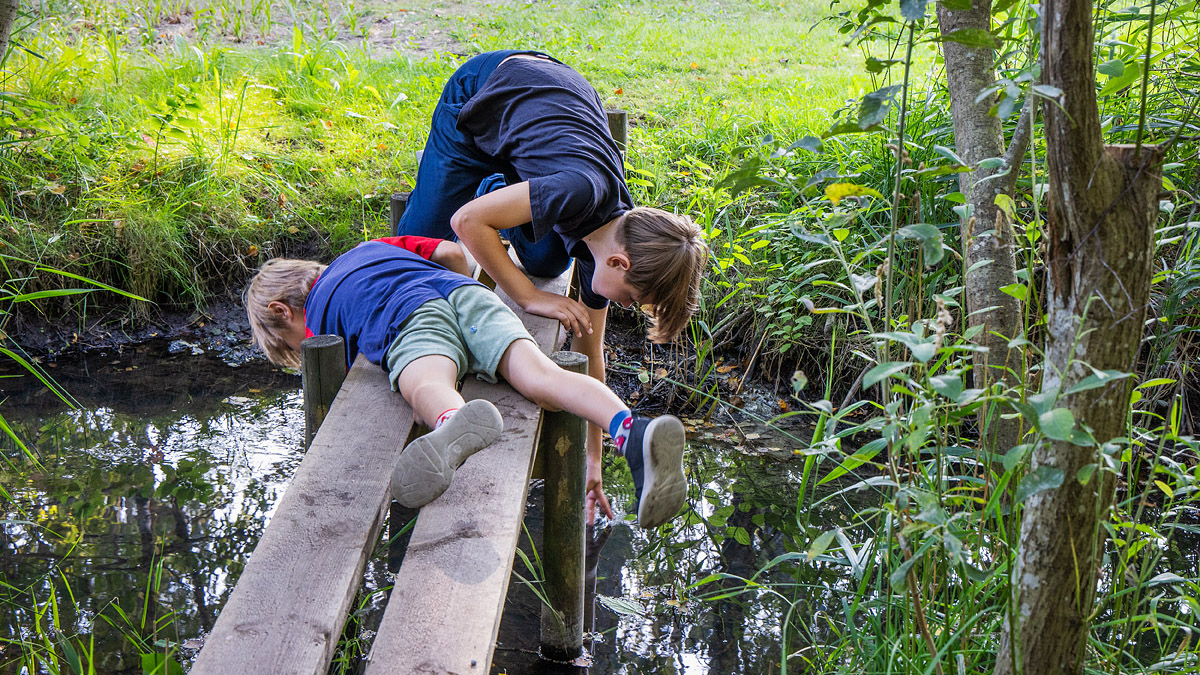 Pojkar som leker med vatten i en bäck