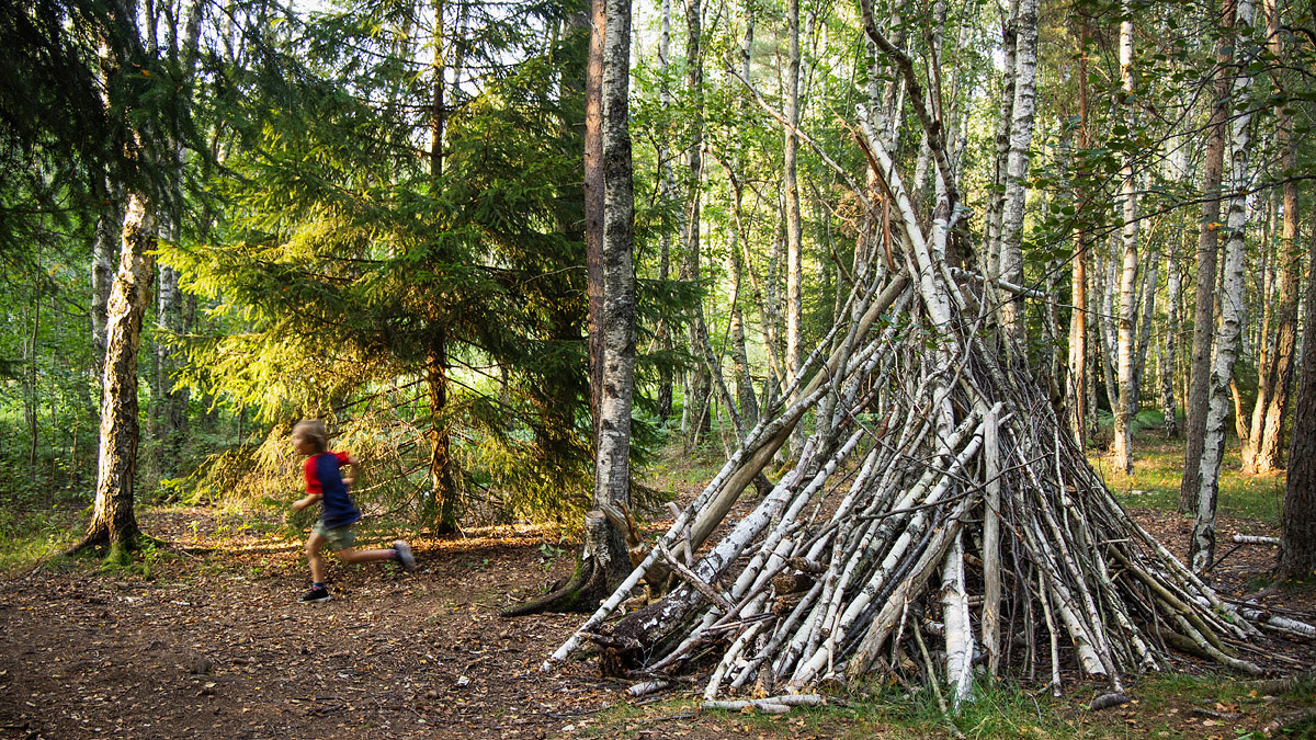 Trädkoja byggd av trästammar