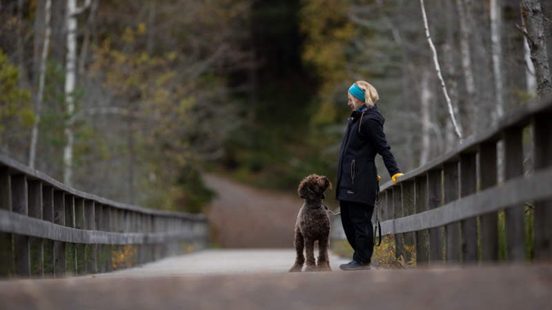 Flicka och hund på bro i Tyresta